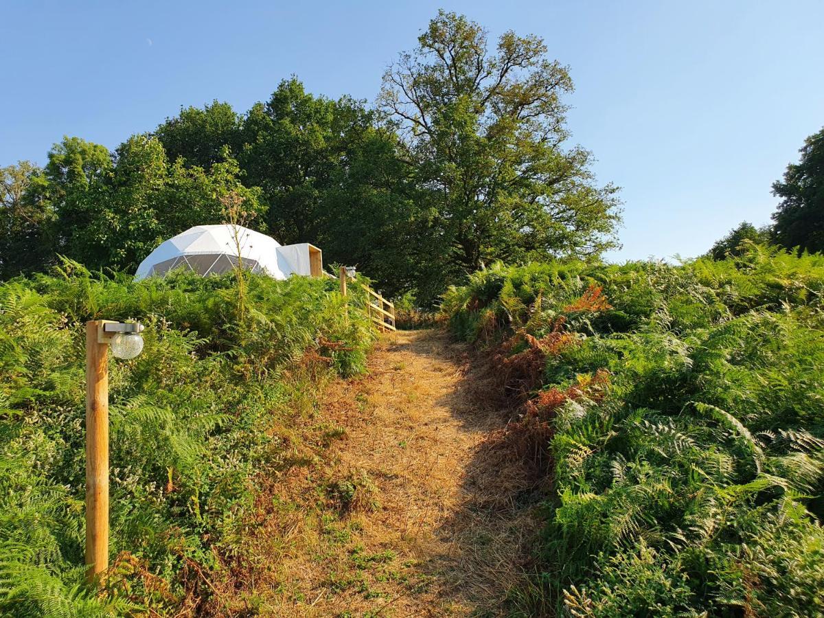 Moulin Du Pommier Glamping & Camping Saulgond Exteriör bild