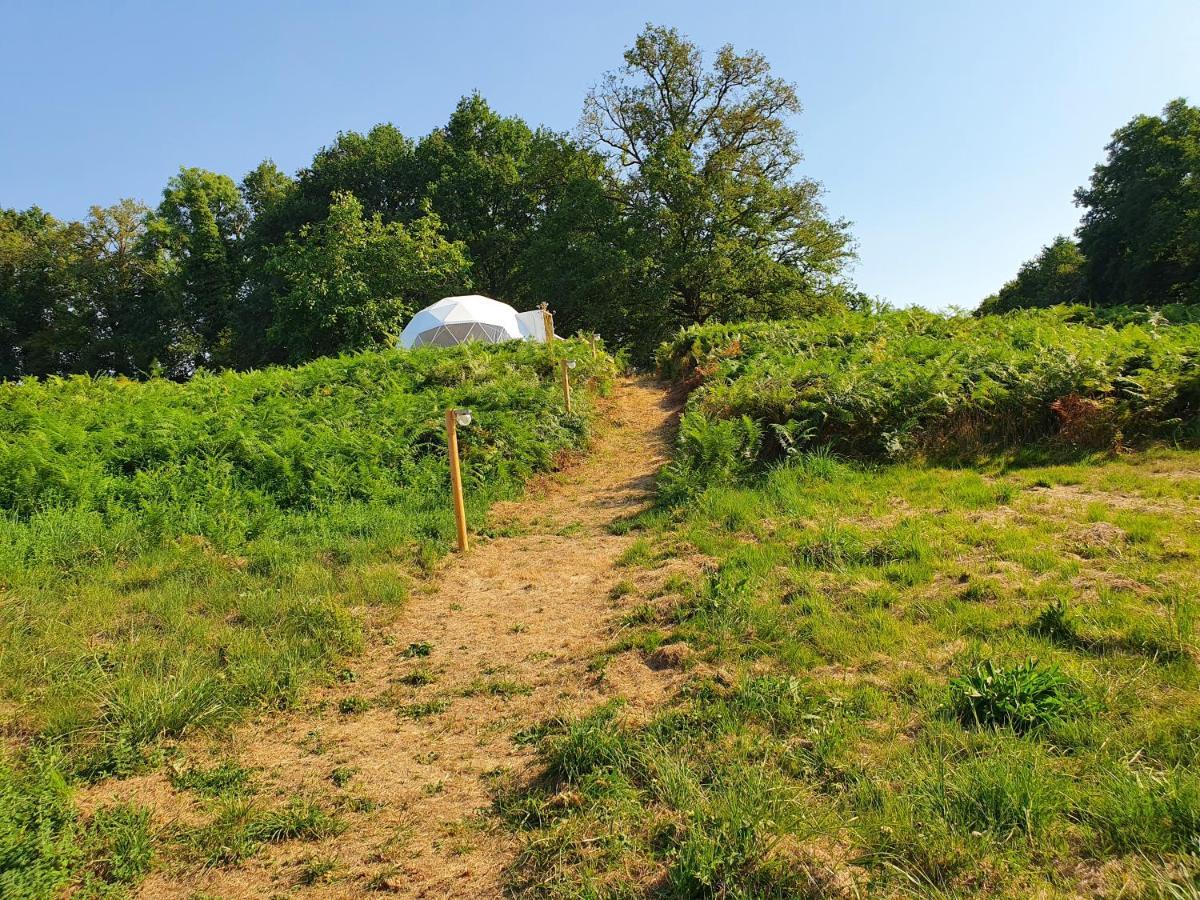 Moulin Du Pommier Glamping & Camping Saulgond Exteriör bild